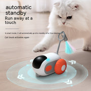 Interactive Remote-Controlled Cat Racing Car