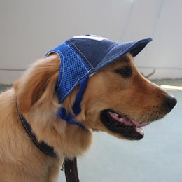 Sunshade Net Breathable Pet Baseball Cap