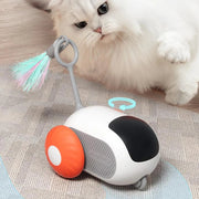 Interactive Remote-Controlled Cat Racing Car