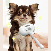 Self Cleaning pet comb with Built-in Mist Humidifier