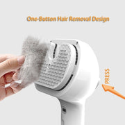 Self Cleaning pet comb with Built-in Mist Humidifier