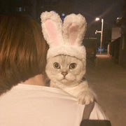 Adorable Rabbit Ears Winter Hat for Pets - New Year Party Cosplay Accessory
