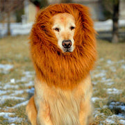 Majestic Lion Mane Wig for Big Dogs