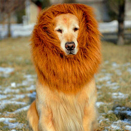 Majestic Lion Mane Wig for Big Dogs