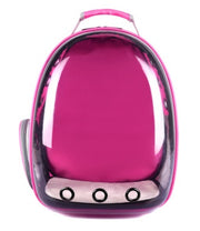 Portable Pet Puppy cat Backpack Carrier Bubble