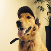 Sunshade Net Breathable Pet Baseball Cap