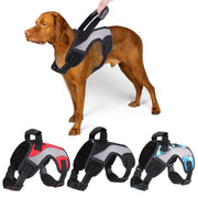 Breathable Anti-Punching Harness for Medium to Large Dogs - Chest & Back Traction