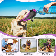 Special Muzzle That Is Breathable And Has A Mesh Design for Dogs