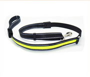 Solar-Powered LED Dog Collar with Adjustable Length and Multi-Color Lights
