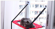 Window-Mounted Cat Hammock - Cozy Perch Bed for Indoor Felines