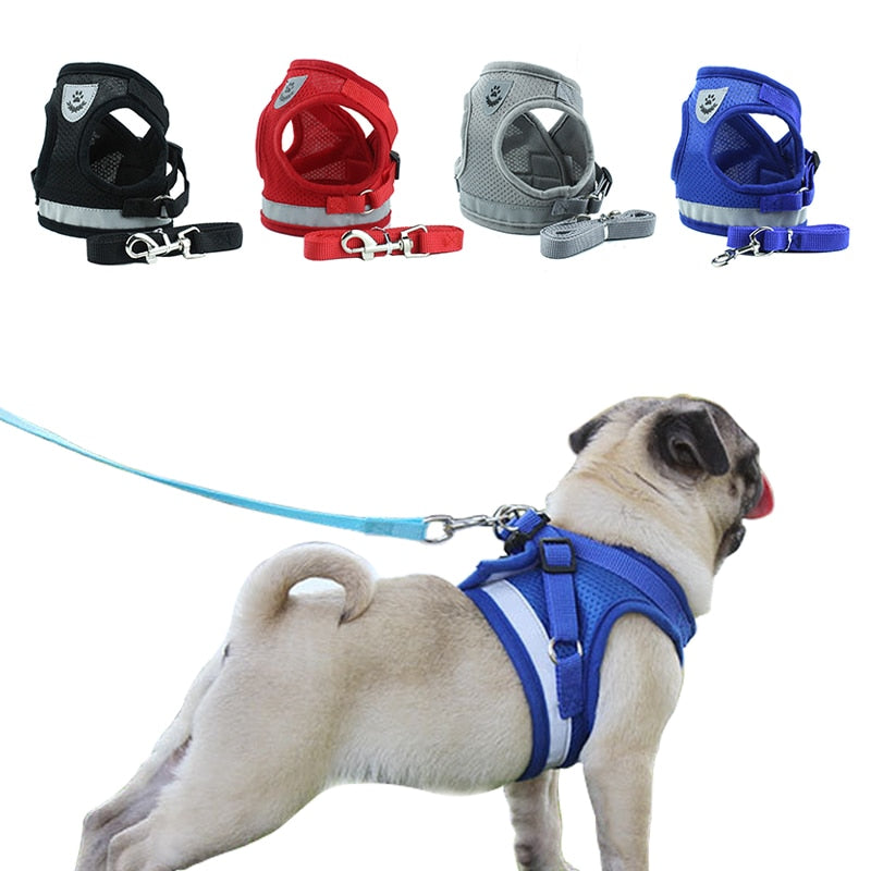 Reflective Safety Pet Dog Harness and Leash Set